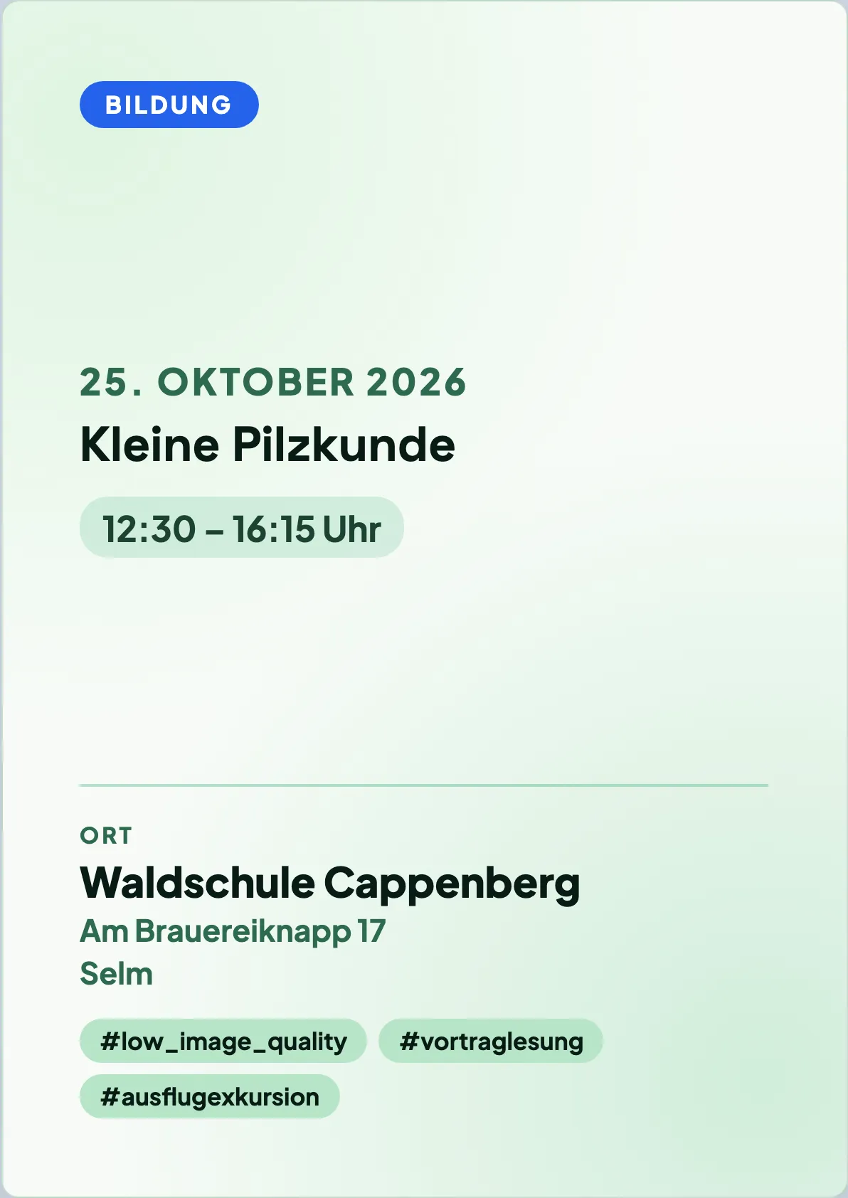 Veranstaltungsflyer