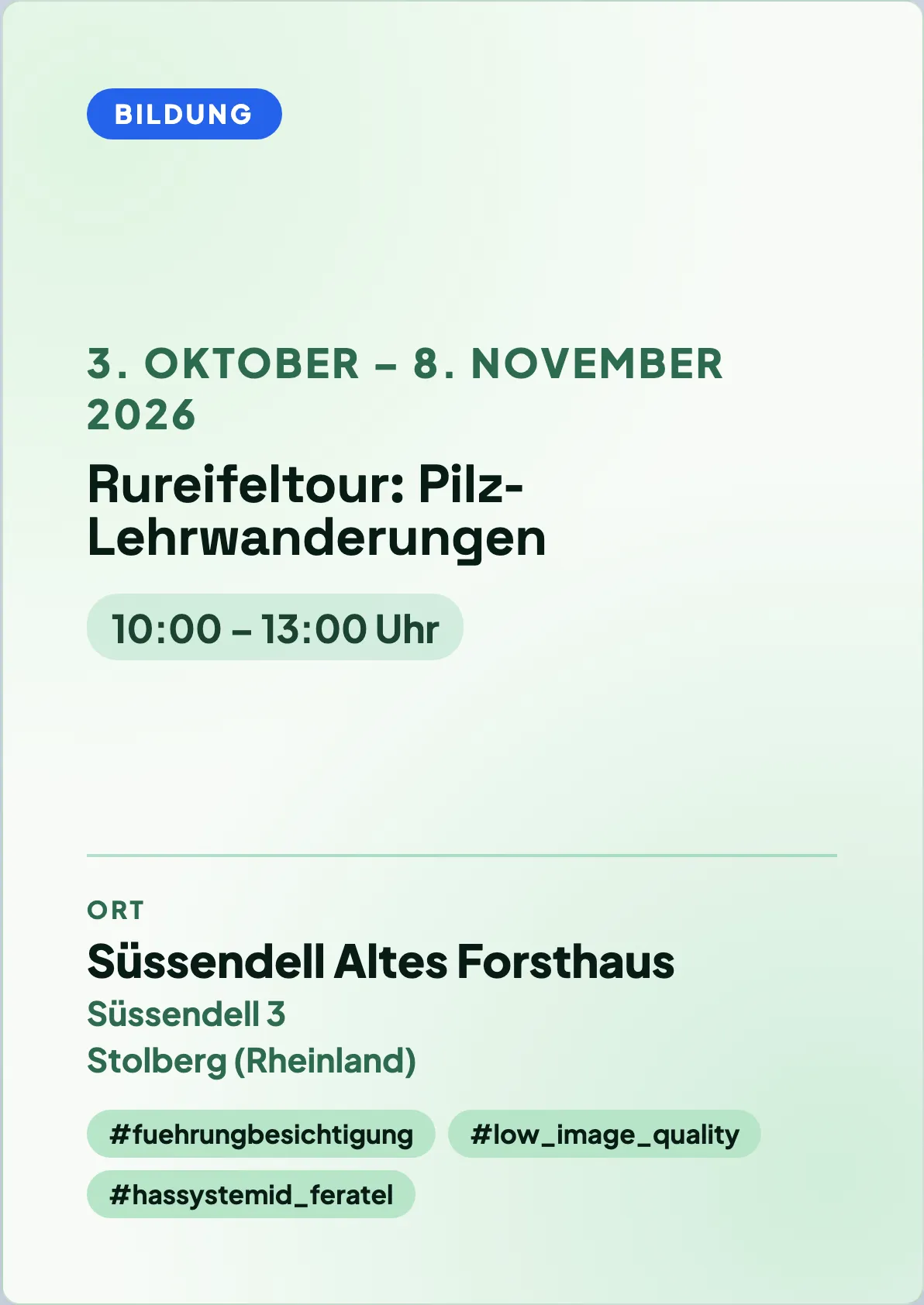 Veranstaltungsflyer