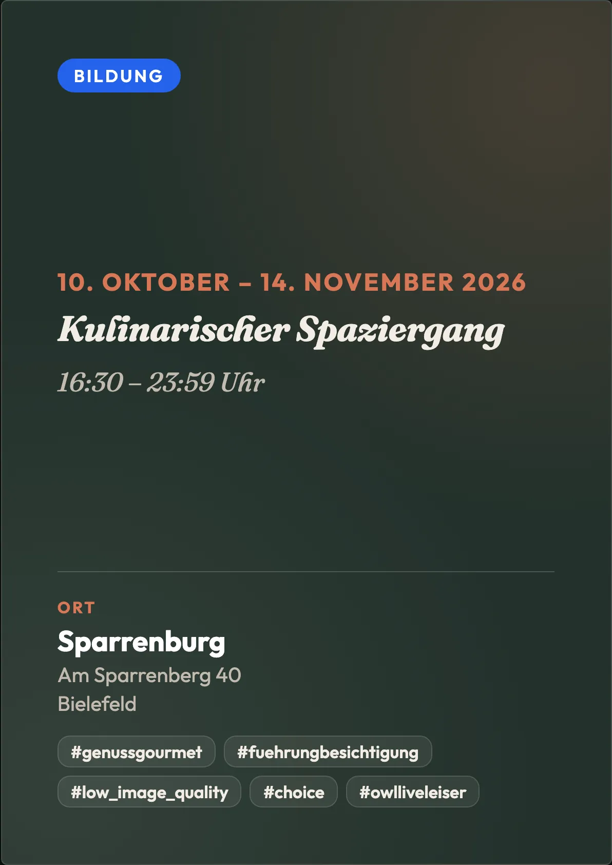 Veranstaltungsflyer