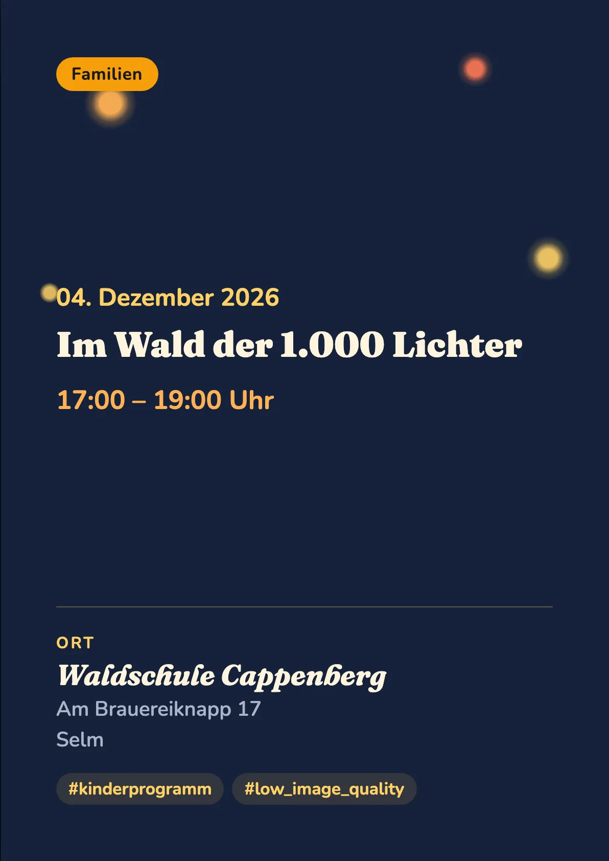 Veranstaltungsflyer