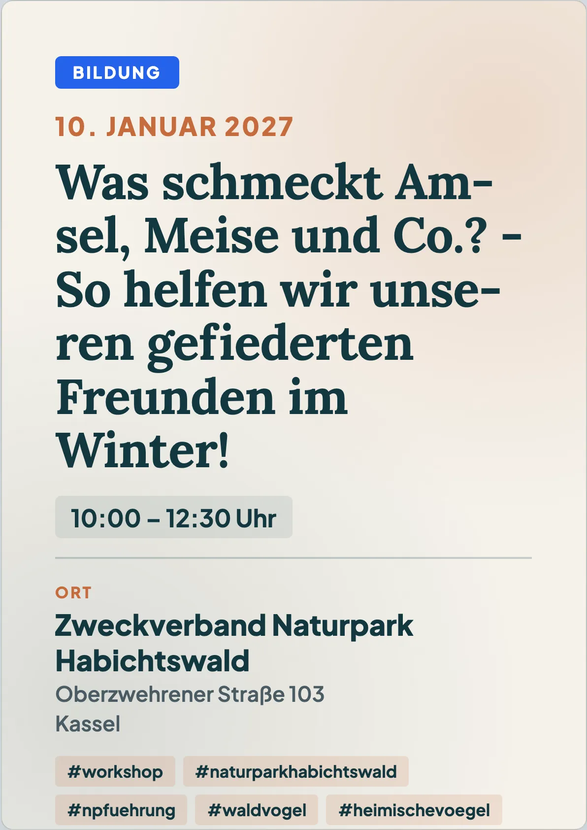 Veranstaltungsflyer