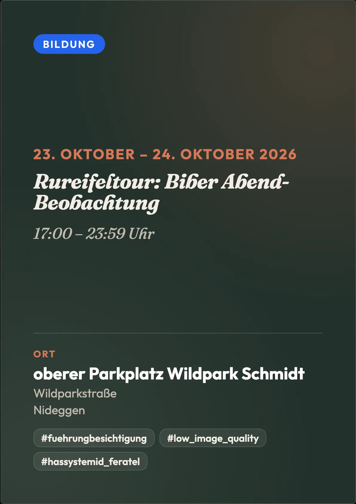 Veranstaltungsflyer