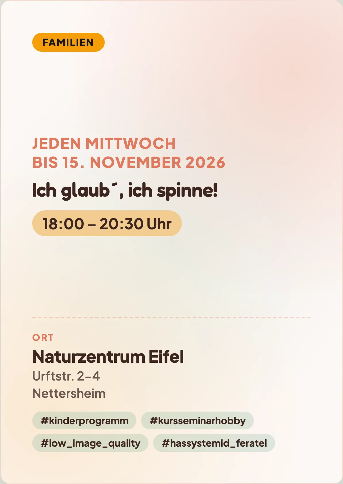 Veranstaltungsflyer