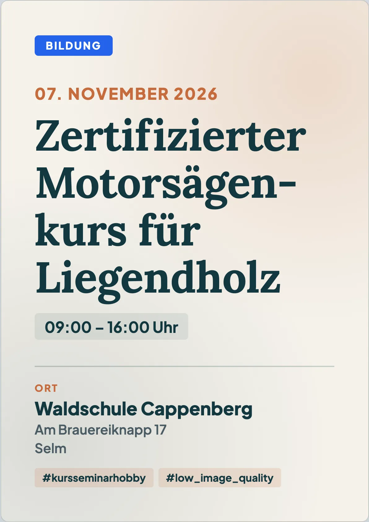 Veranstaltungsflyer