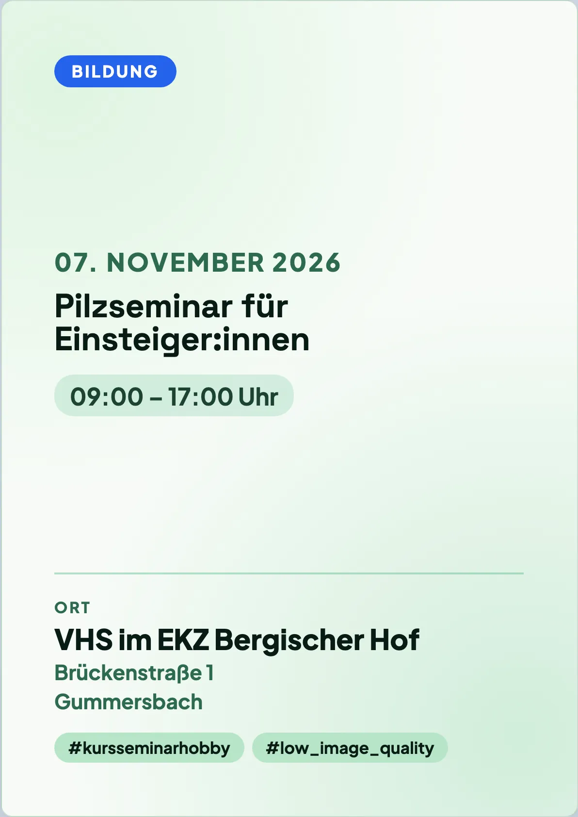 Veranstaltungsflyer