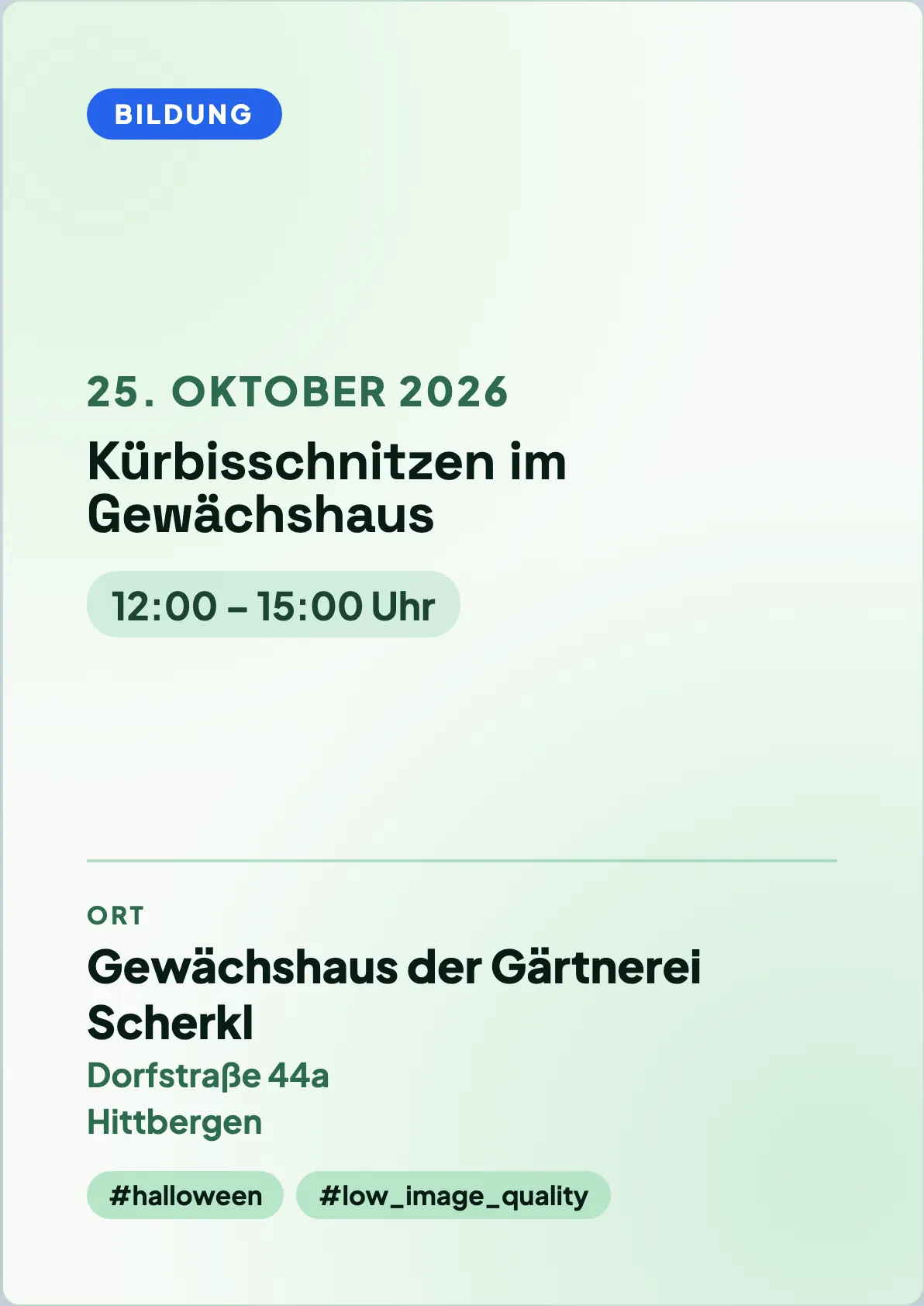 Veranstaltungsflyer