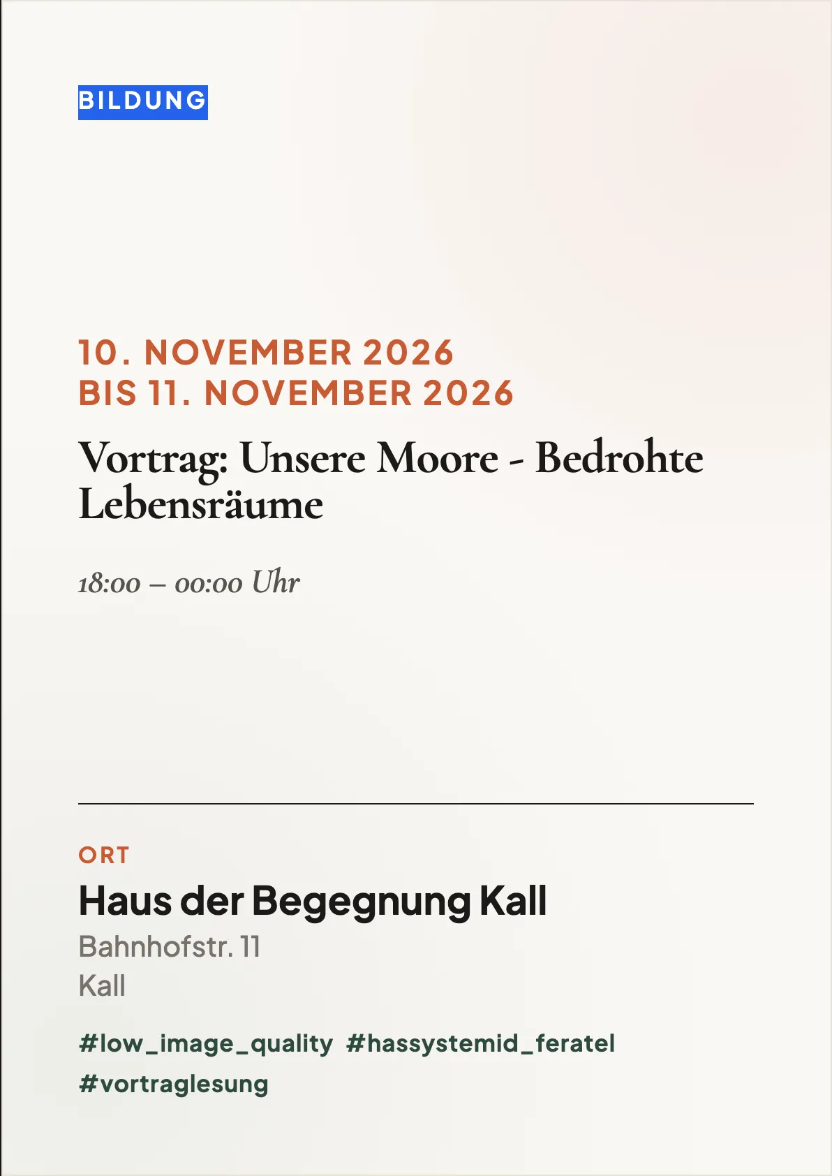 Veranstaltungsflyer