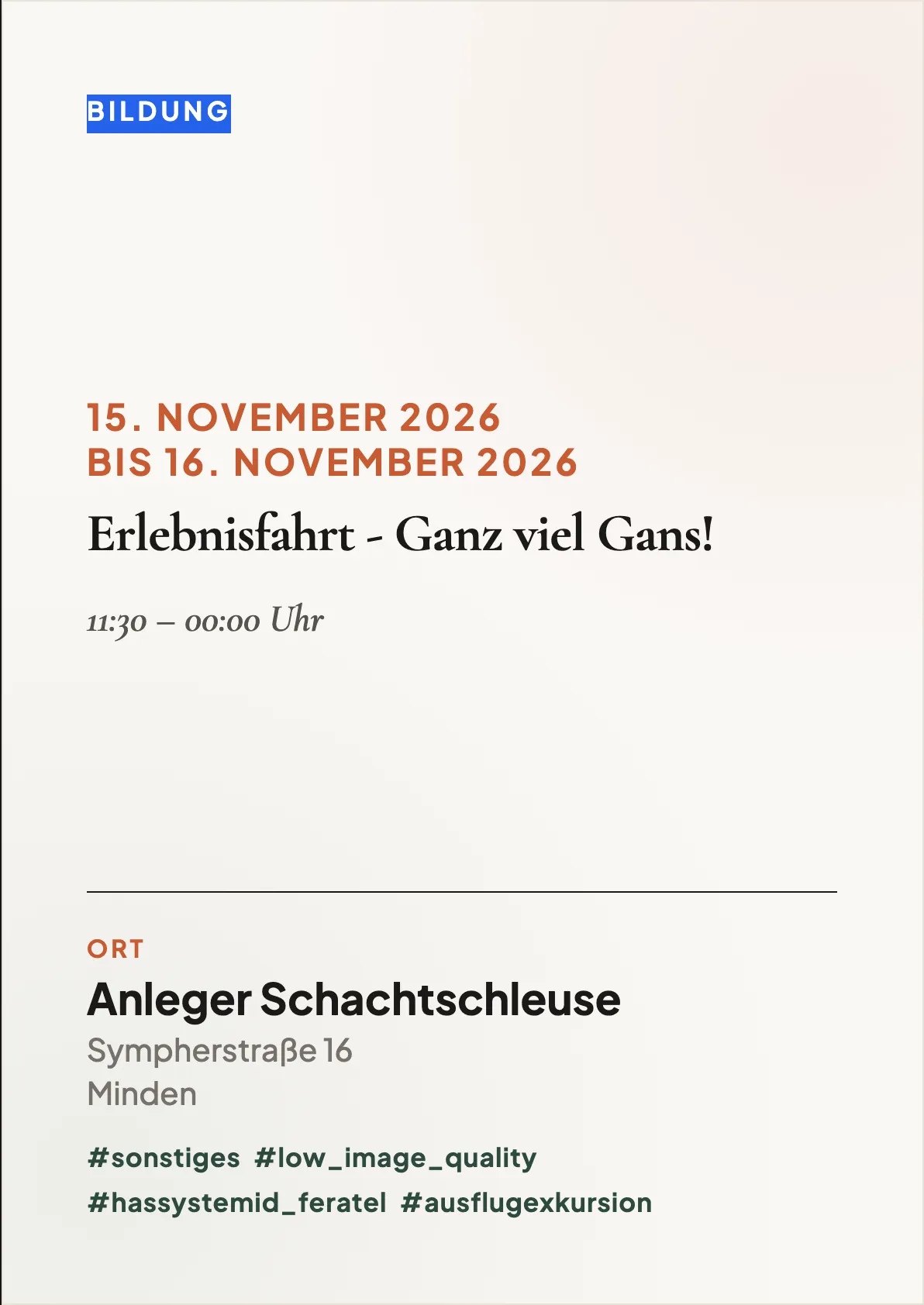 Veranstaltungsflyer