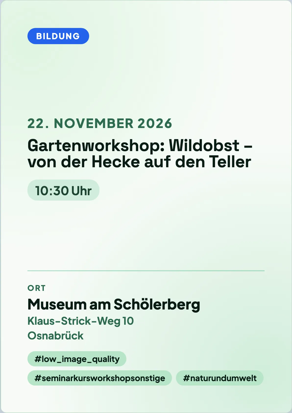 Veranstaltungsflyer