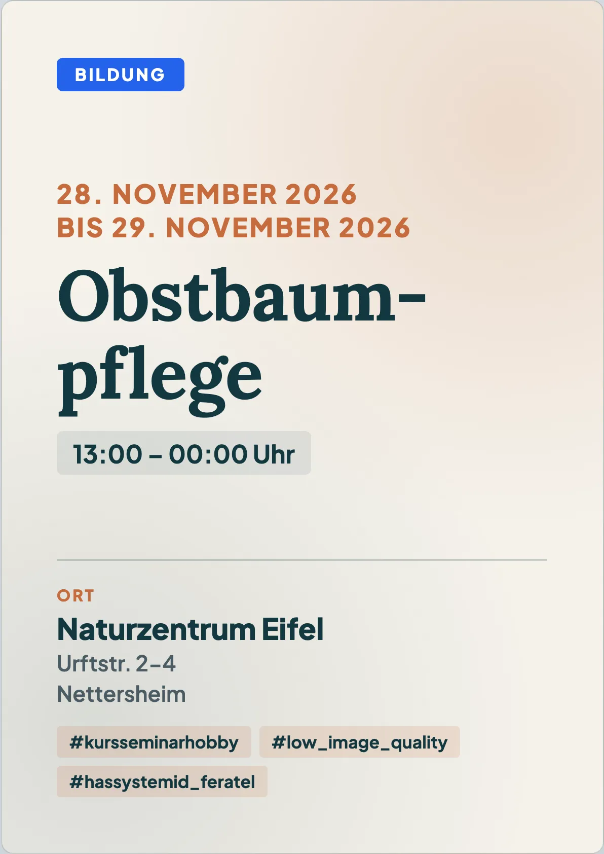 Veranstaltungsflyer