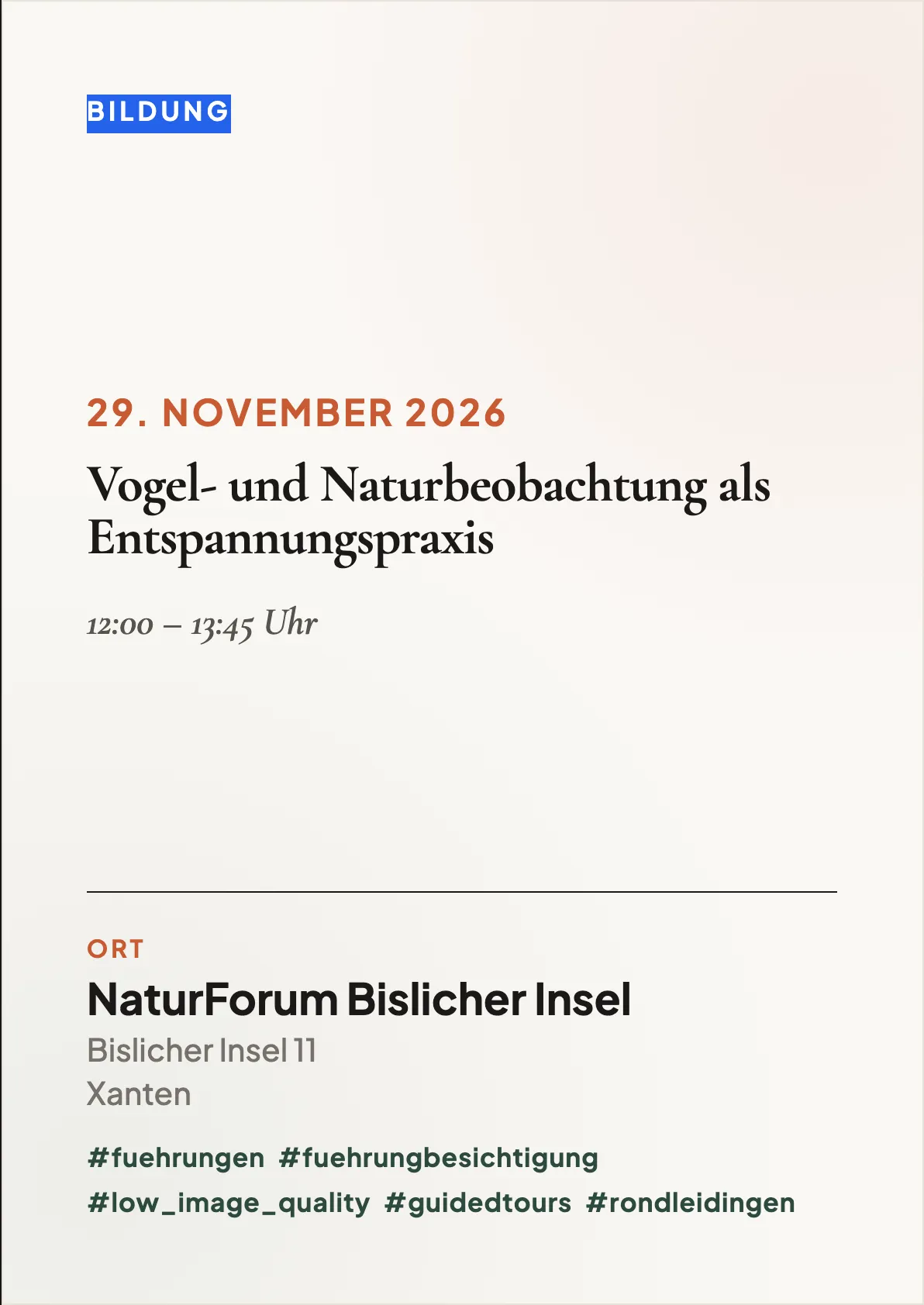 Veranstaltungsflyer