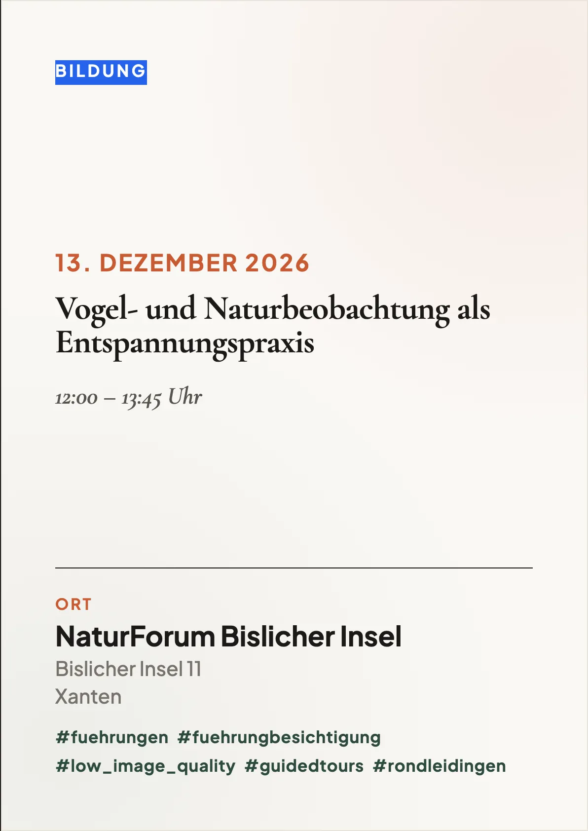 Veranstaltungsflyer