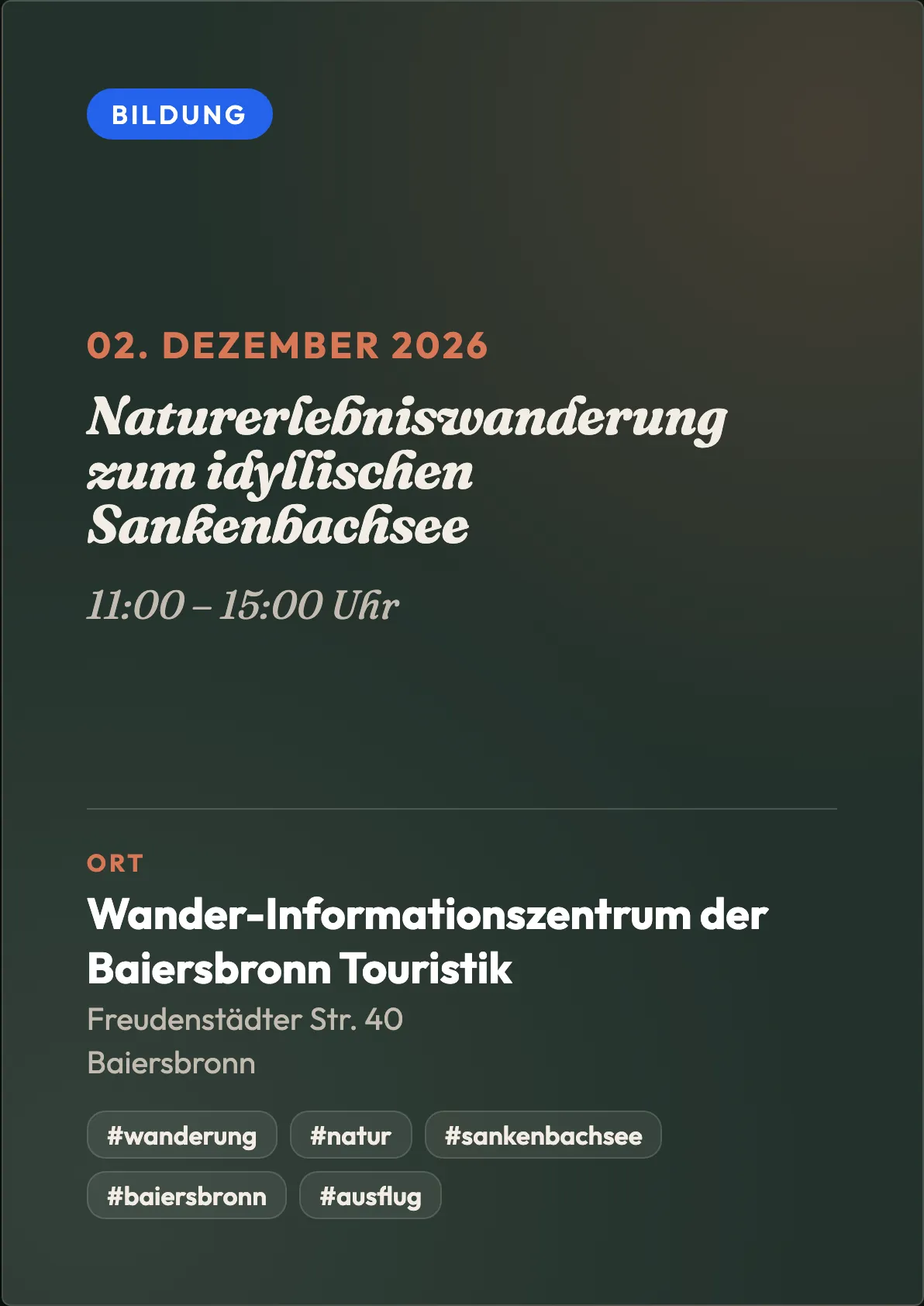 Veranstaltungsflyer
