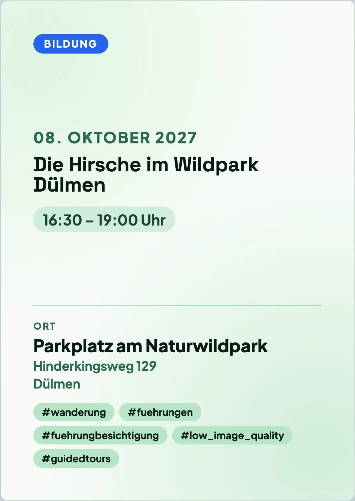 Veranstaltungsflyer