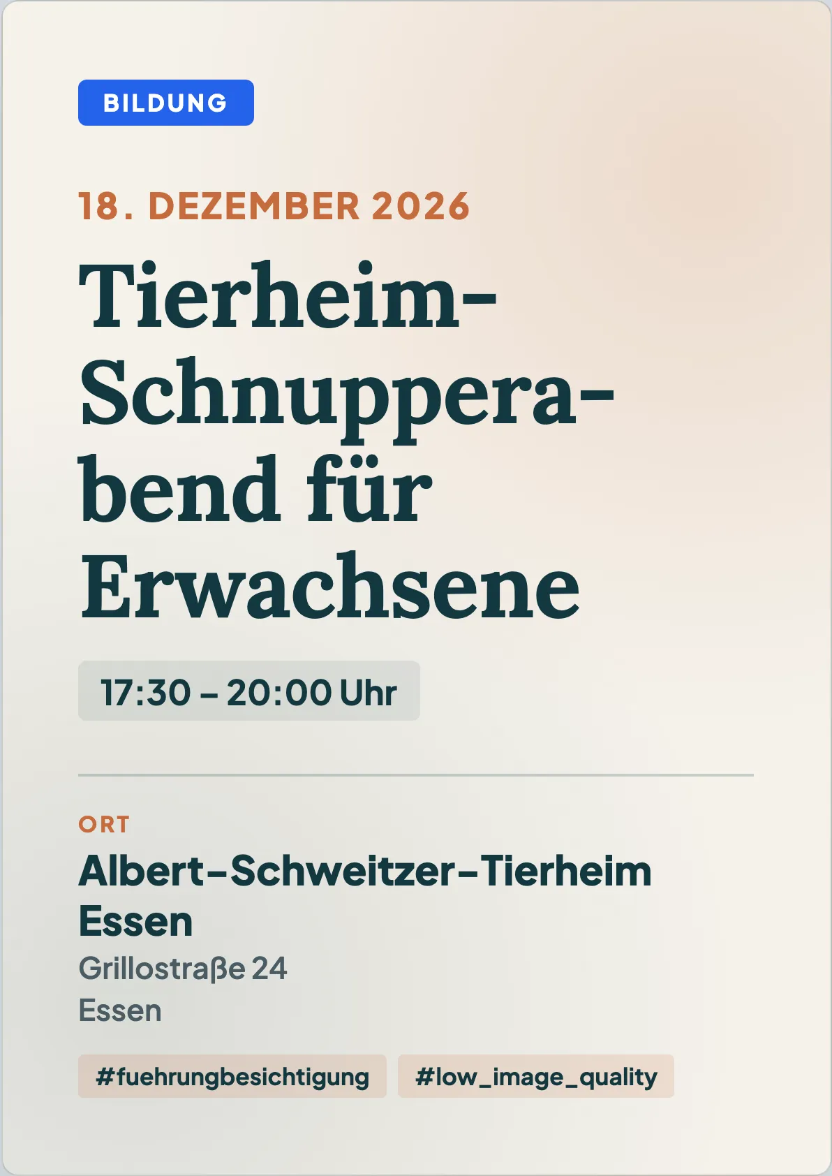 Veranstaltungsflyer