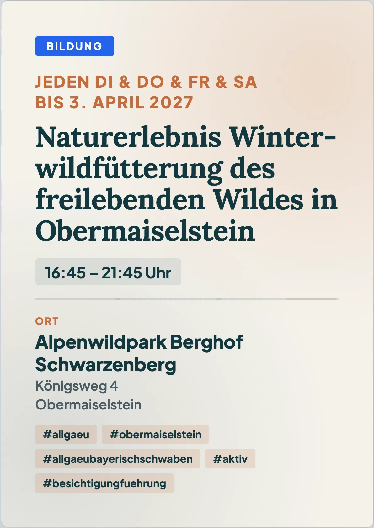 Veranstaltungsflyer