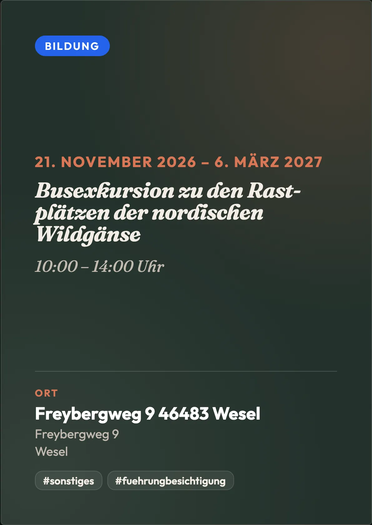 Veranstaltungsflyer