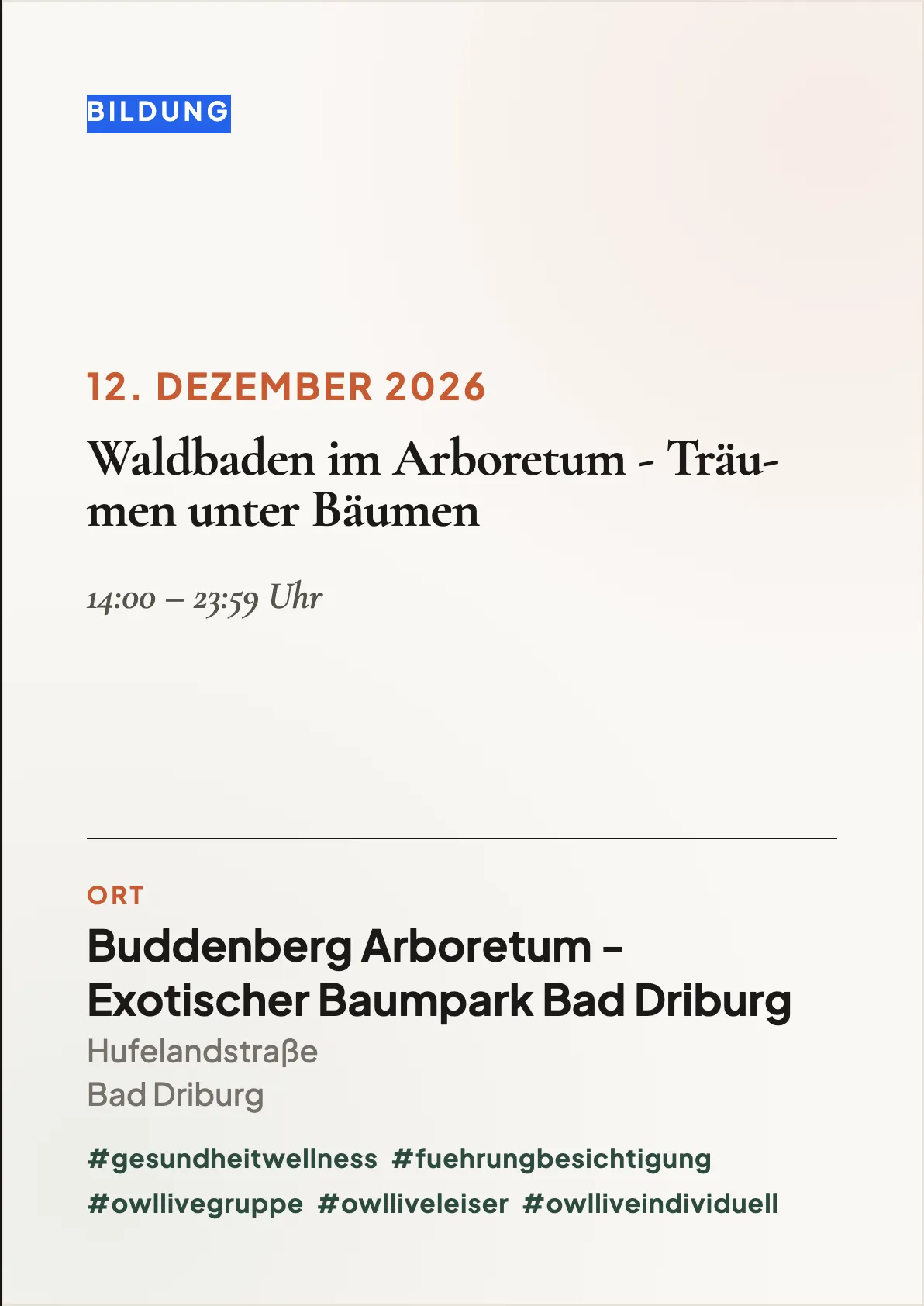 Veranstaltungsflyer